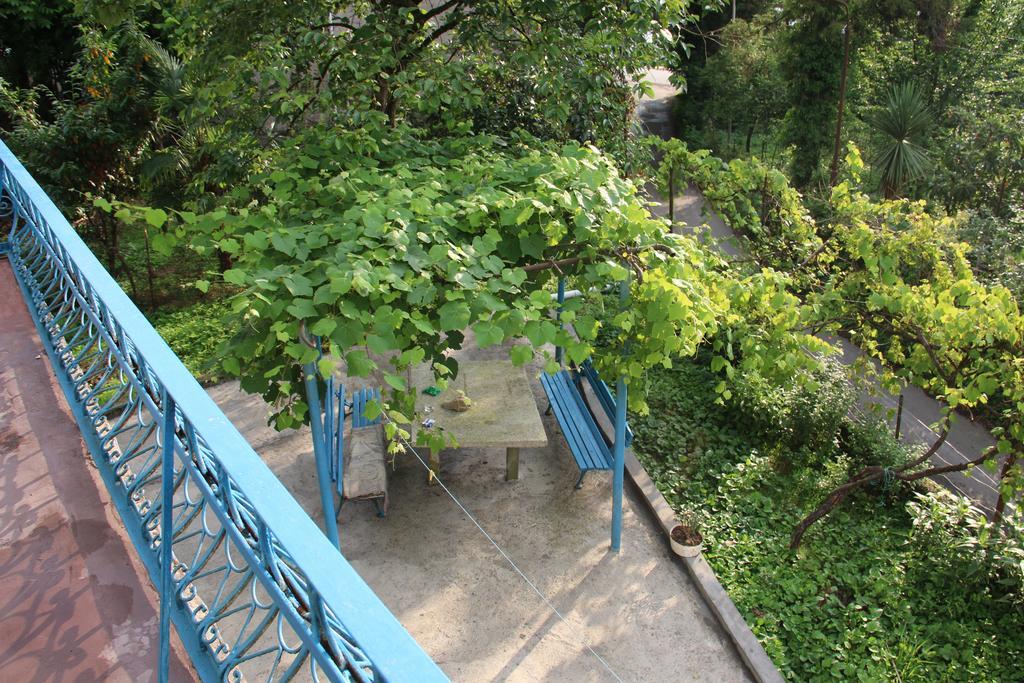 Achi Guest House Makhinjauri Oda fotoğraf